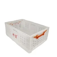 600*400 Series Heavy Duty Folding Plastic Containers Box Collapsible Crates for Fruits and Vegetables
