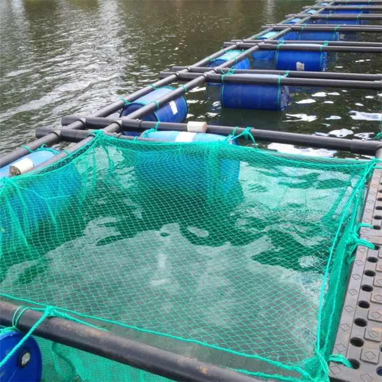 Plastic HDPE square fish cage floating in freshwater