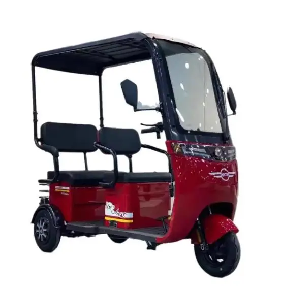 China New Model Electric Tricycles with Roof Cheap Adults  3 Wheel Cargo Bike