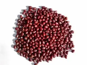 Organic adzuki bean  Organic small red bean Organic azuki bean
