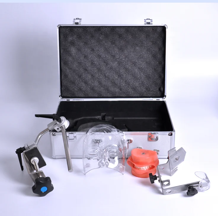 Dental Training Simulation System/Training System with Dental Phantom with Tooth Model