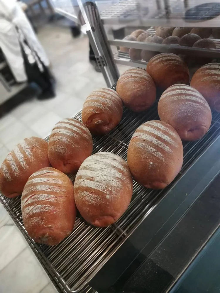 industrial chapati arabic pita rofco roti bread making baking oven machine for commercial bread and cake bakery