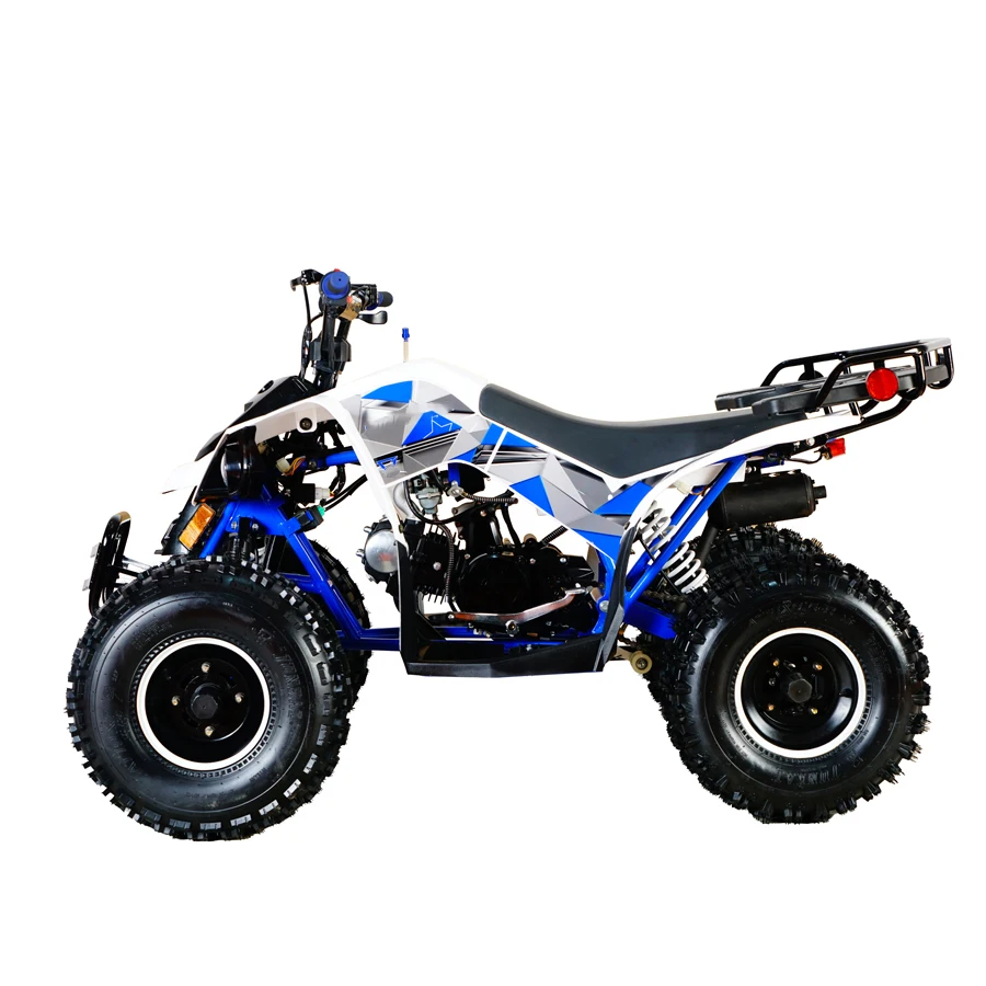 125cc 110cc quad bike atvs 4 wheeler quad for adults