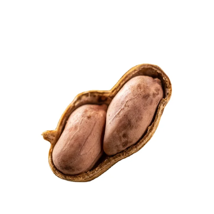 Китайский арахис в скорлупе, экспорт жареных арахисов, заводская поставка