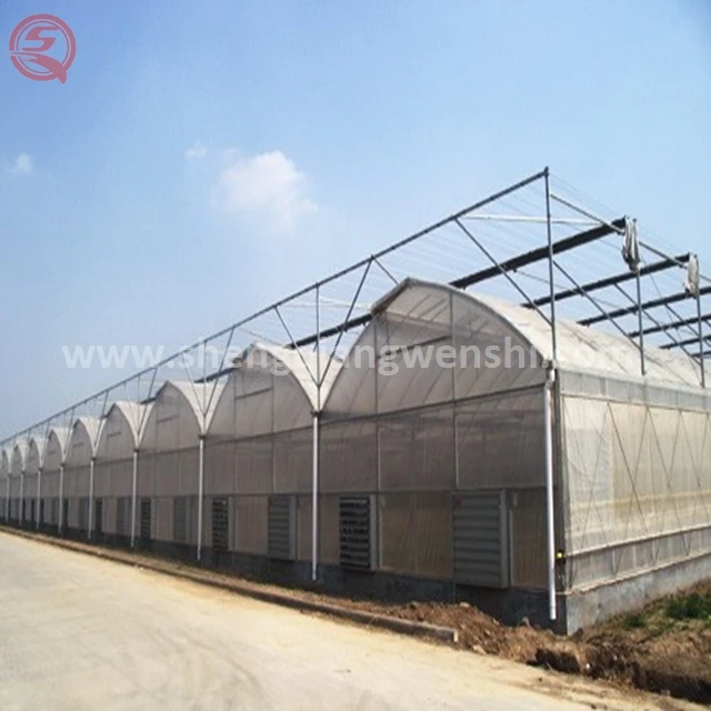  Китайские поставщики оцинкованная сталь Aquaponics пластиковый Тепличный тент для