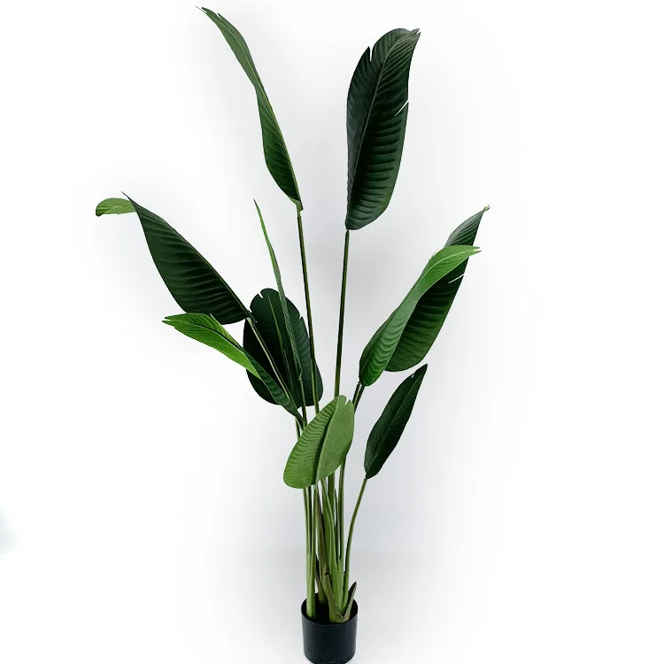 Living Room Outdoor Potted Face Monstera Plants For Artificial Plant