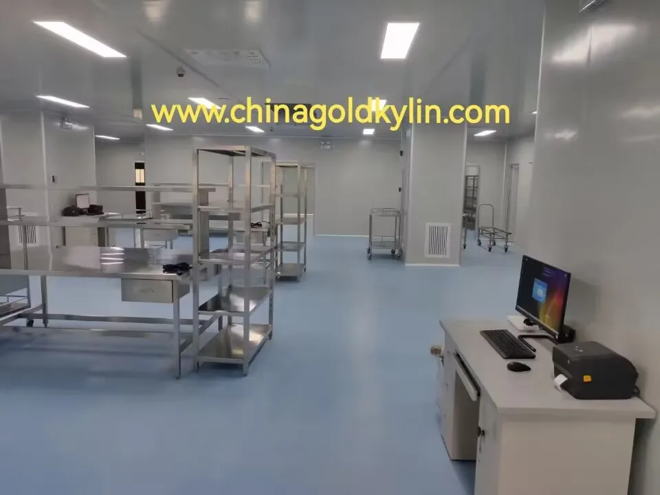 Customized Stainless Steel Ladder for Laboratory Furniture
