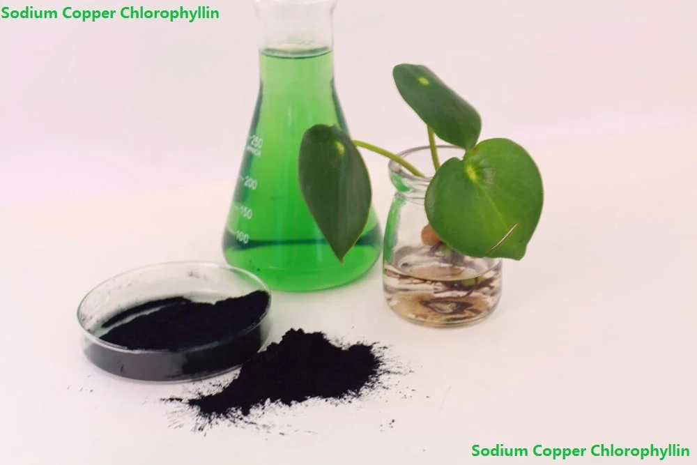 
Factory Supply Pure Copper Chlorophyll/Chlorophyllin Powder CAS 11006-34-1 