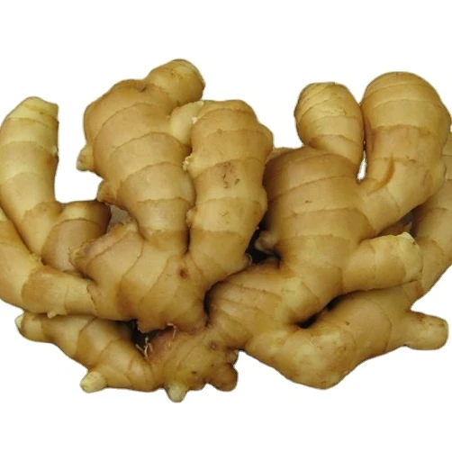 factory low price fresh ginger water clean washed fresh ginger hot sale Chinese fresh ginger