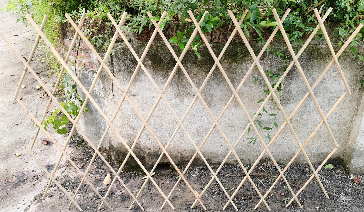 Bamboo Trellis, Expandable Plant Support, Bamboo Lattices Fences for Climbing Plants Vine Ivy Ros extensible bambou treillis