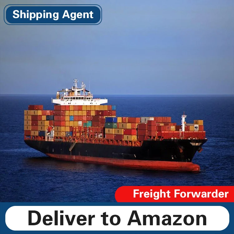 DDP СЕРВИС морской перевозки, самые дешевые цены, транспортировка от двери до двери в Нидерланды/Норвегию/Саудовскую Аравию/Турцию/Австралию