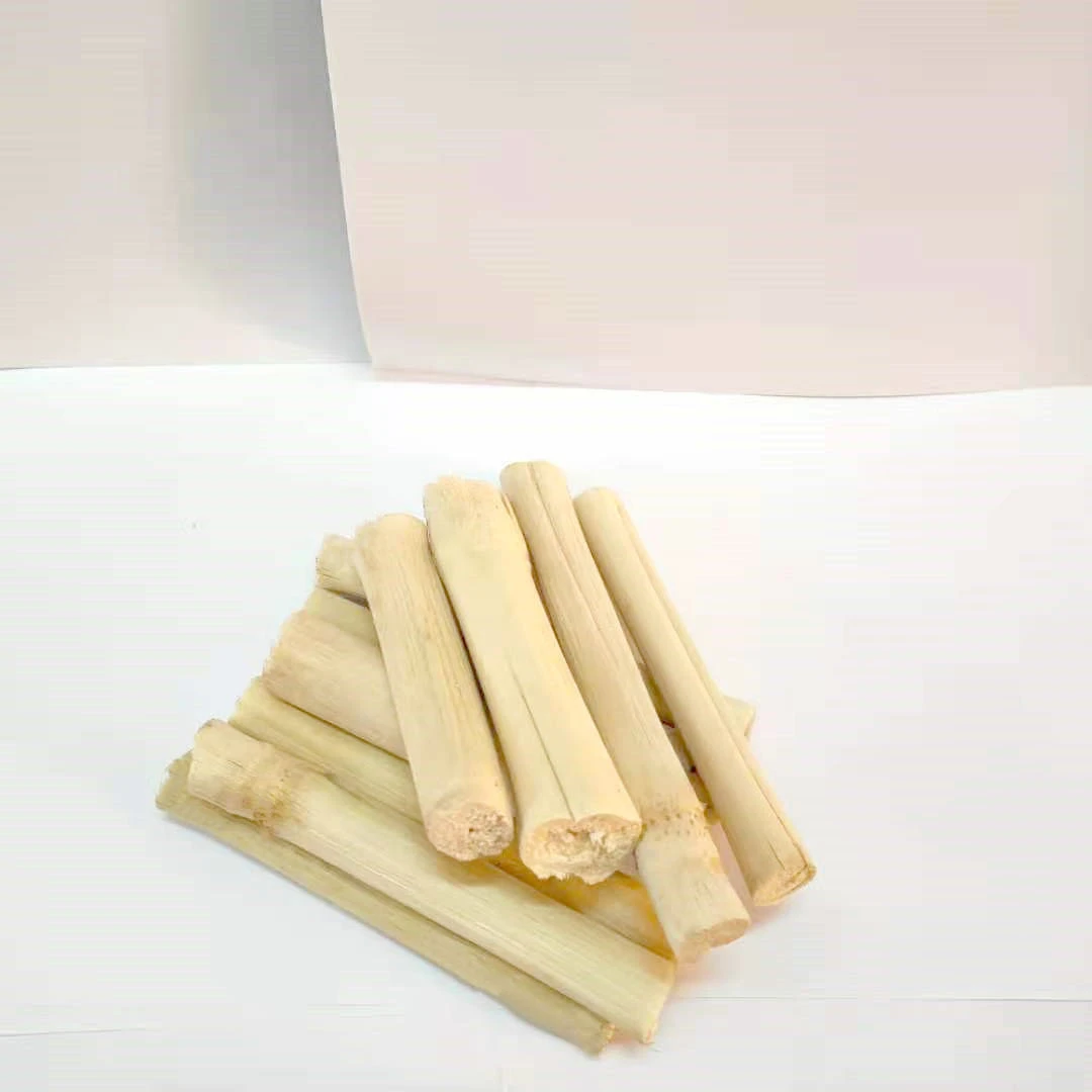 
Cane sugar cane sugar cane sugar cane pet molars 