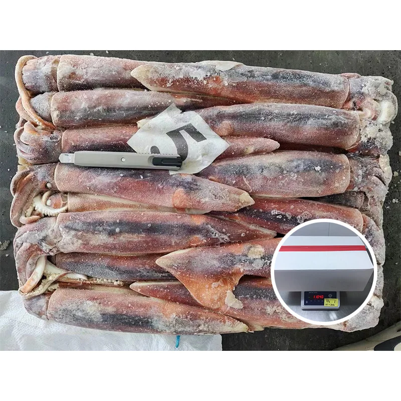 Hot Selling Wholesale Price Seafood Argentina Frozen Illex Squid