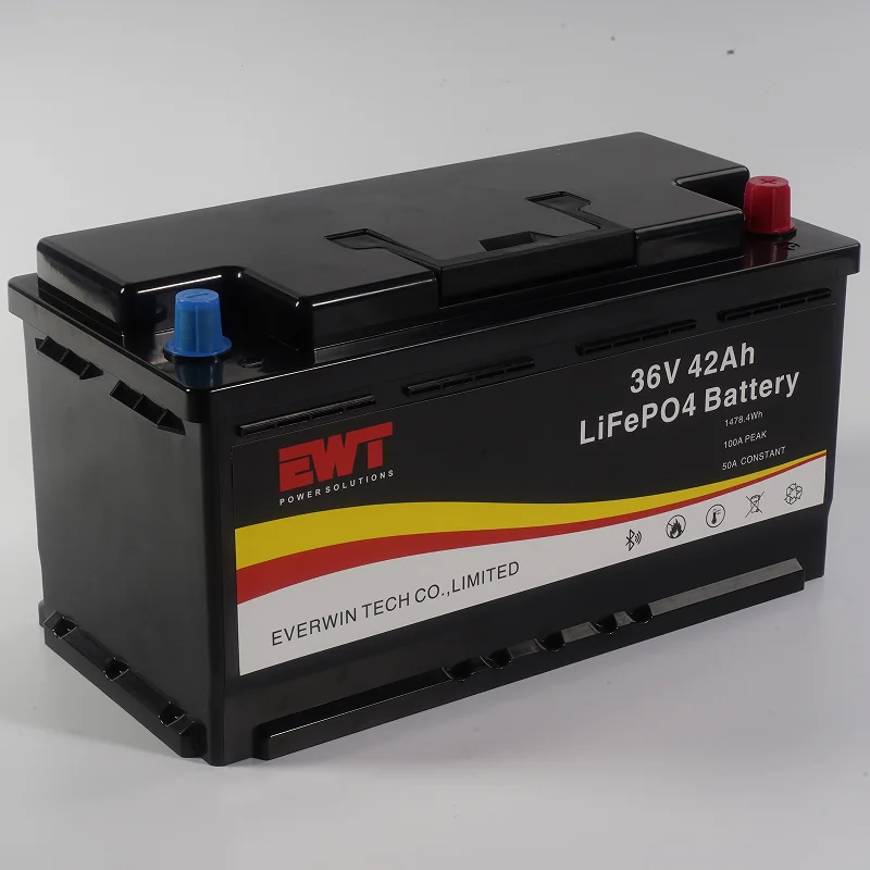 Dustproof and Waterproof 36V 42Ah Lithium LifePo4 Battery Pack Supply RV Power Equipment