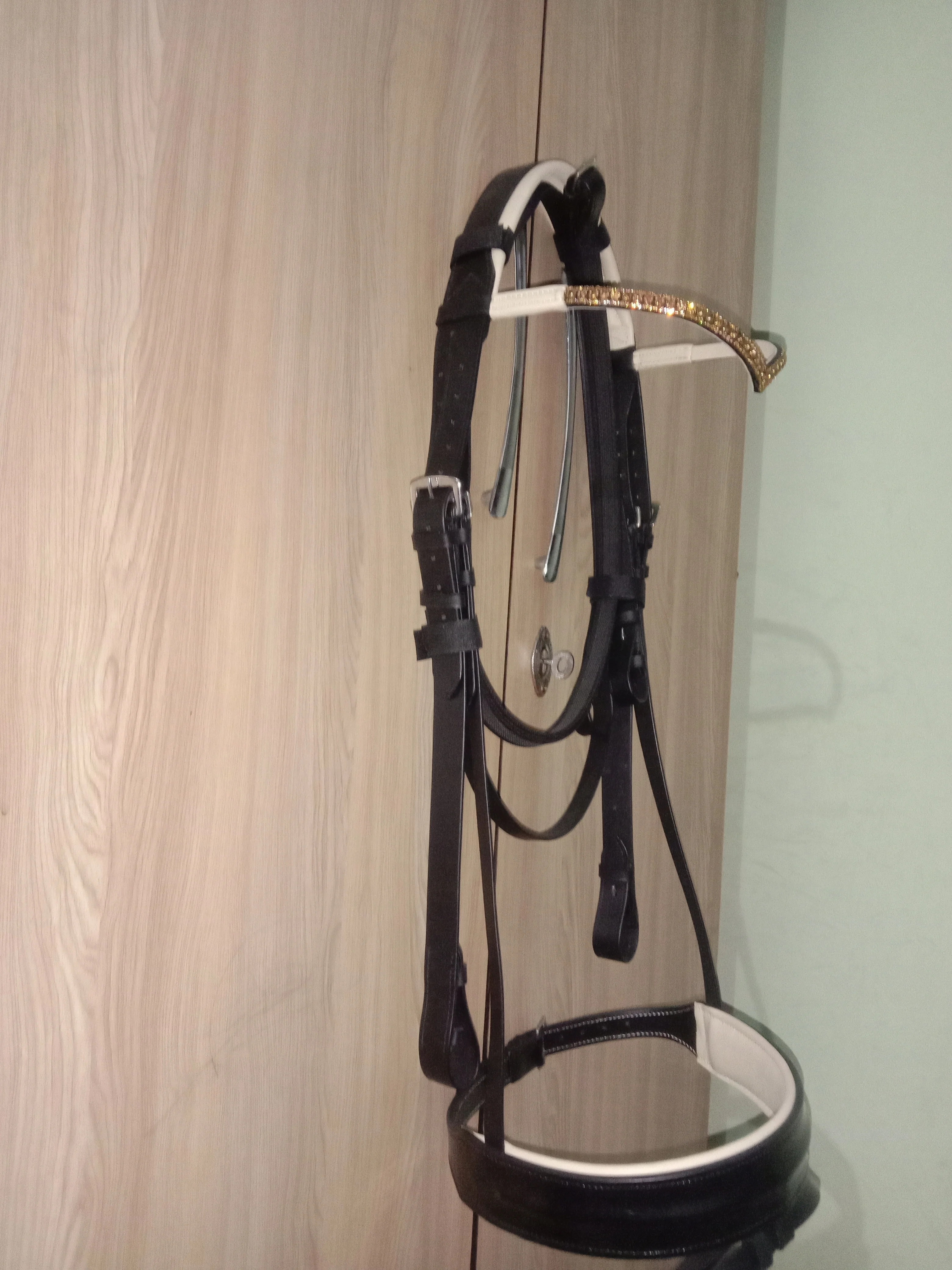 Horse Leather Bridle