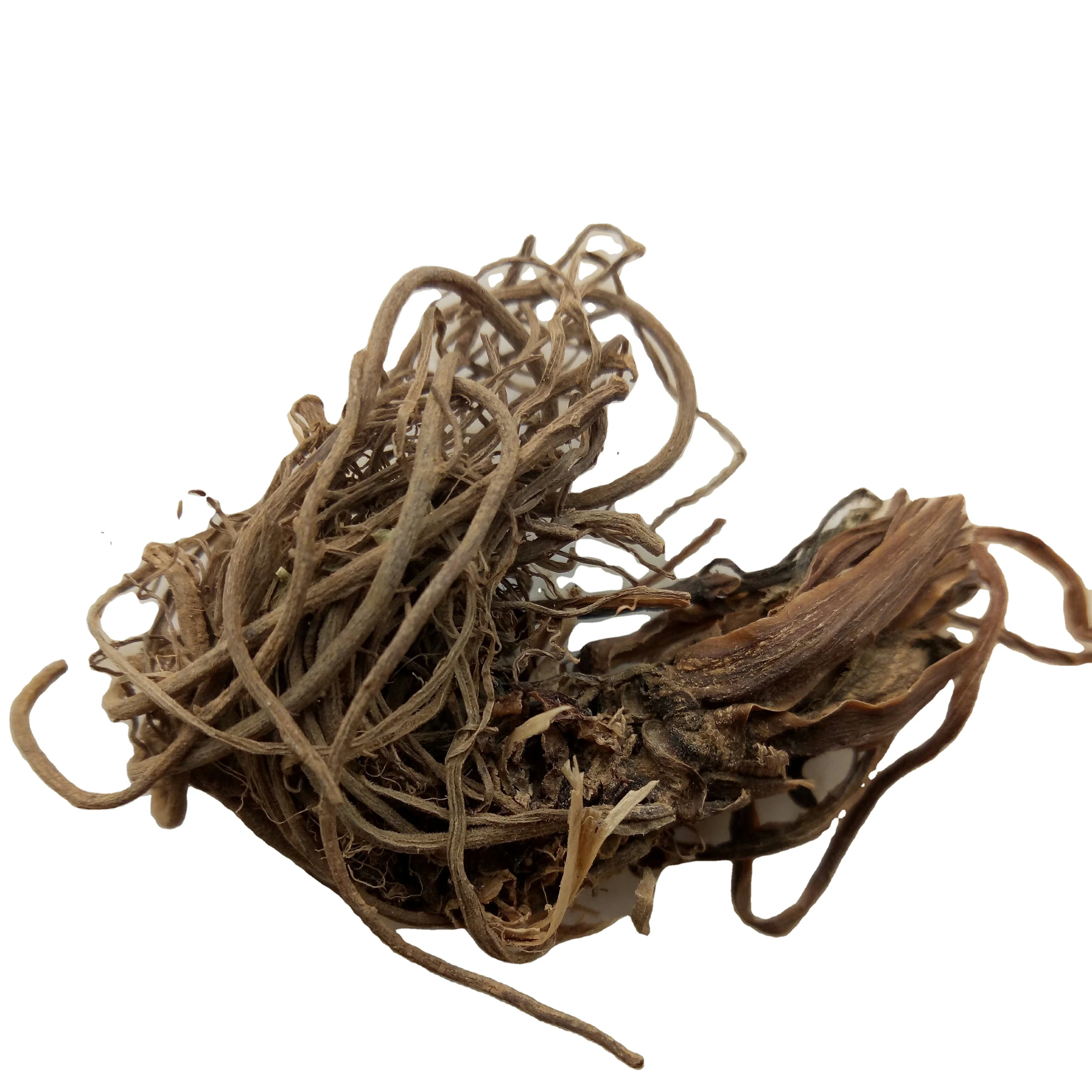 
Herbal medicine Single Chinese herbs dried valeriana officinalis radix 