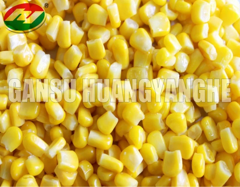 Новые ядра сладкой кукурузы, Заводская поставка по хорошей цене