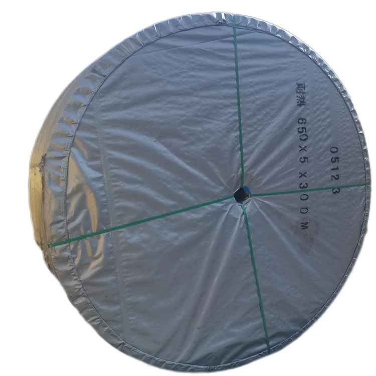 Factory wholesale wear resistant customized Anti static electricity power conveyor belt