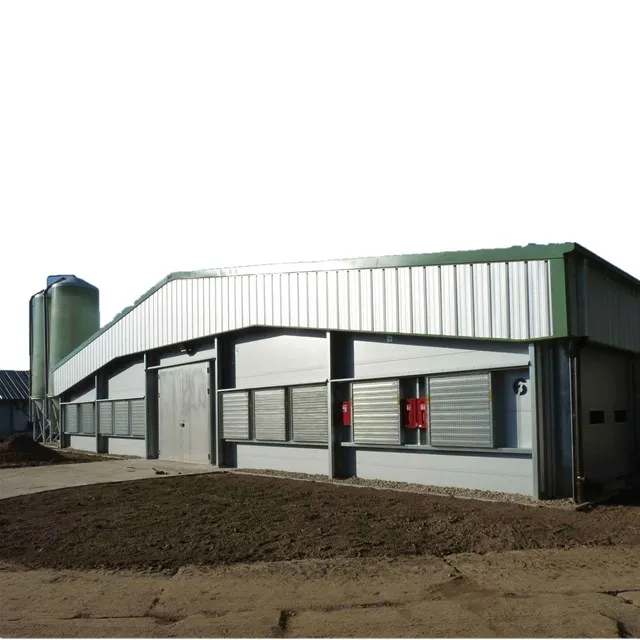 Prefabricated Modern Prefab Steel Structure Chicken Poultry Farm Farming Design House 1000 Egg Chickens Houses Price Coop Shed