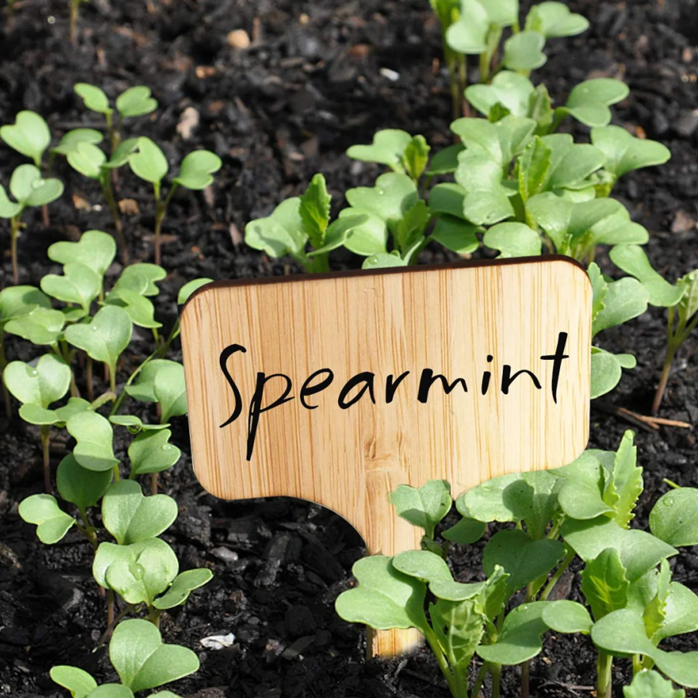 Bamboo Plant Labels Garden Markers T-Type Plant Tags Flower Marker Thick Tag Label