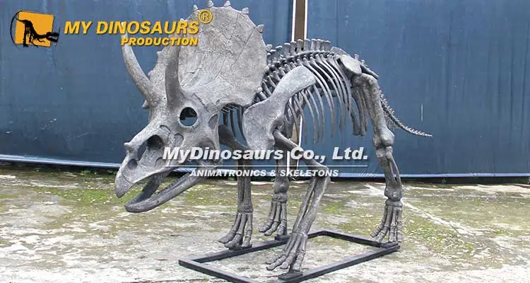 triceratops-skeleton-1 (2)