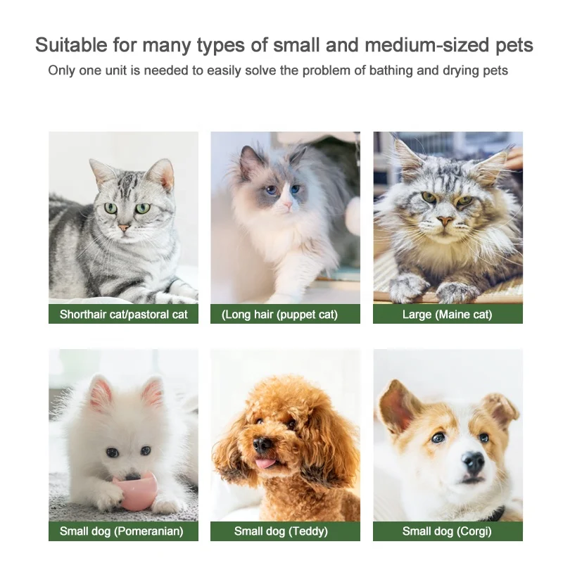 Smart Temperature Control System Silent Noise Reduction High Wind Speed Automatic Pet Grooming Dryer Machine Box Pet Hair Dryer