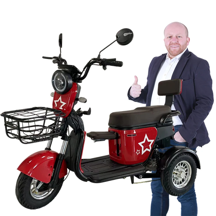 Y3-QQ  multifunctional adult cargo tricycle for wholesales 3 wheel tuk Manufacturer brushless e-bicycle sine wave controller