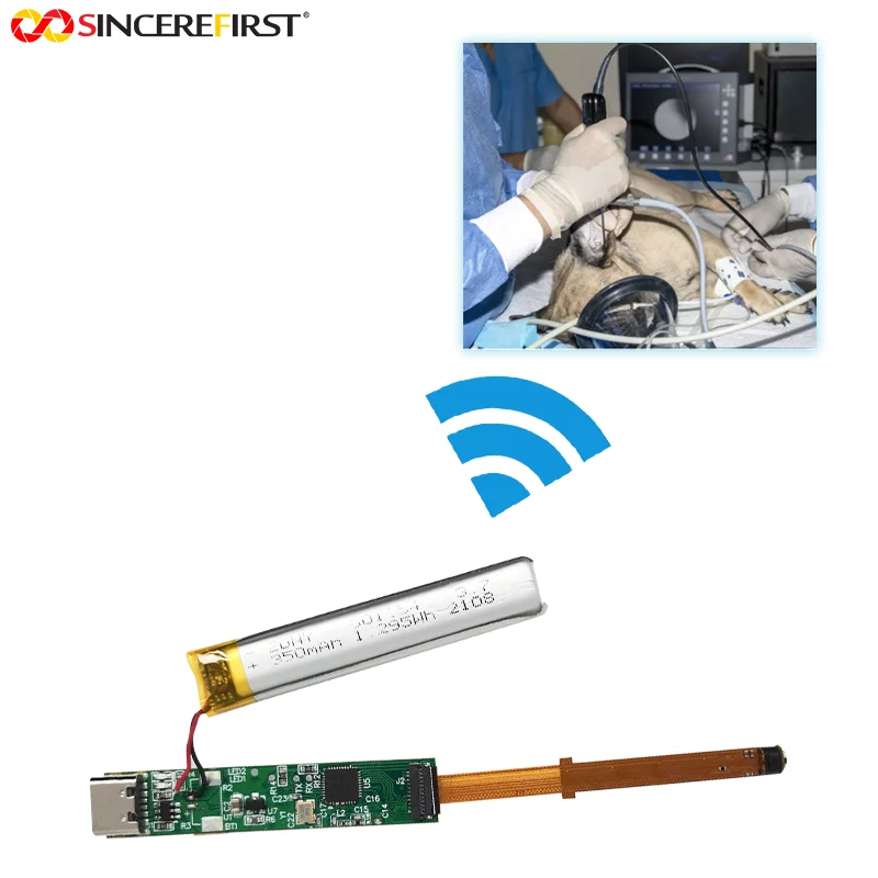 High Definition Micro Visual Otoscope Portable Ear Cleaning Wifi Industrial Endoscope Camera Module For Pet Treatment