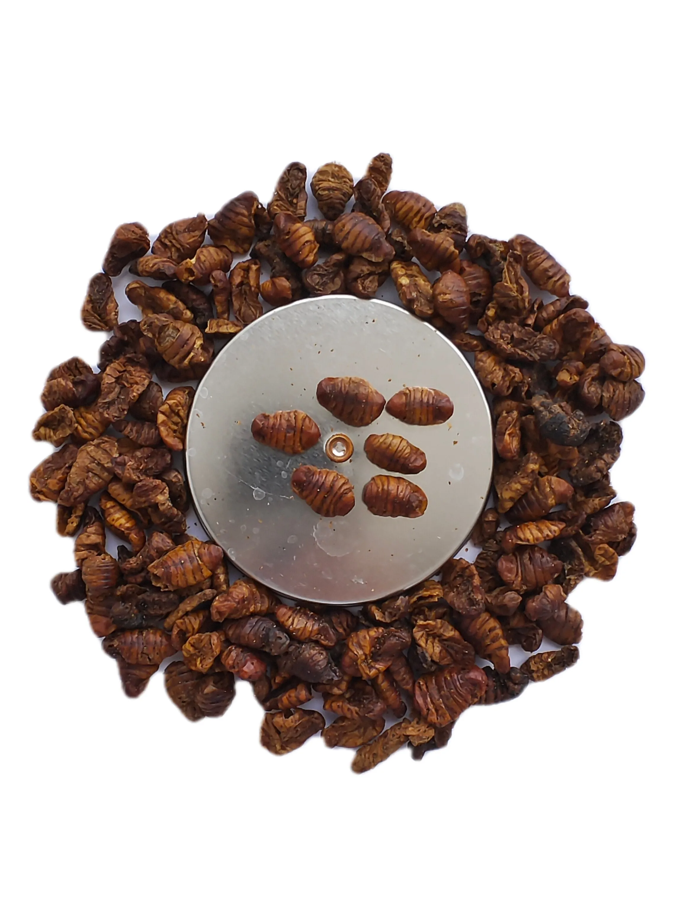 High-Protein Dry Food for Birds and Small Animals Pretty Pet Food with Dried Silkworms Fish Food High mealworms dried