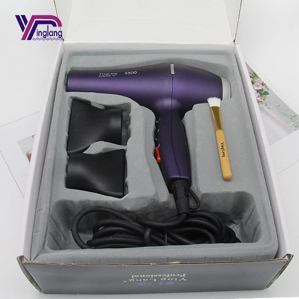 High Power Salon Hotel Best Professional Home Salon Hot and Cold Air Negative Ion Hair Dryer