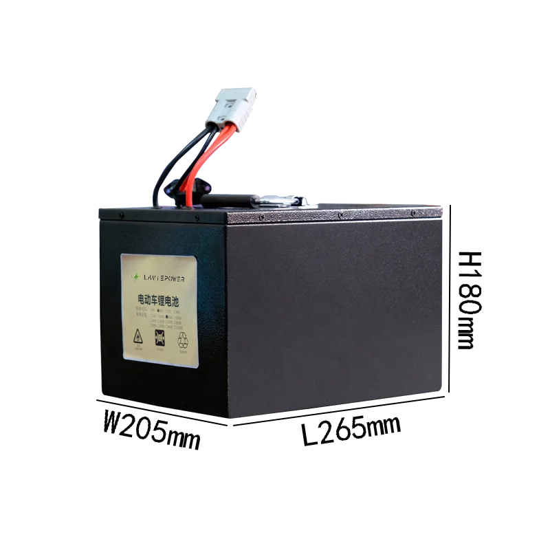 Solar LiFePo4 48V 60V 72V 30Ah 40Ah 50Ah Lithium ion Battery Pack Batteries for Electric Scooters Ebike