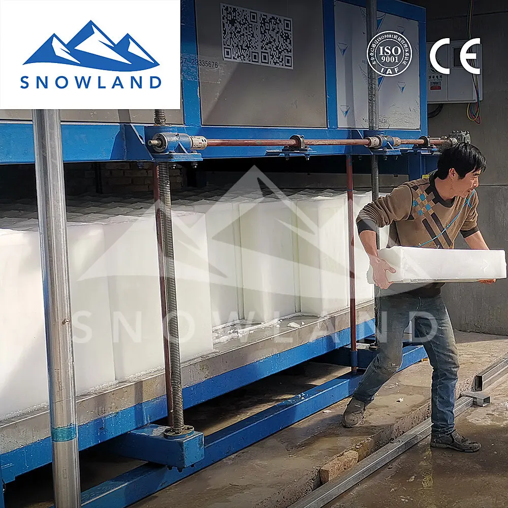 ice maker machine Malaysia with 3 ton  block ice, transportation/preservation of fruits and vegetables