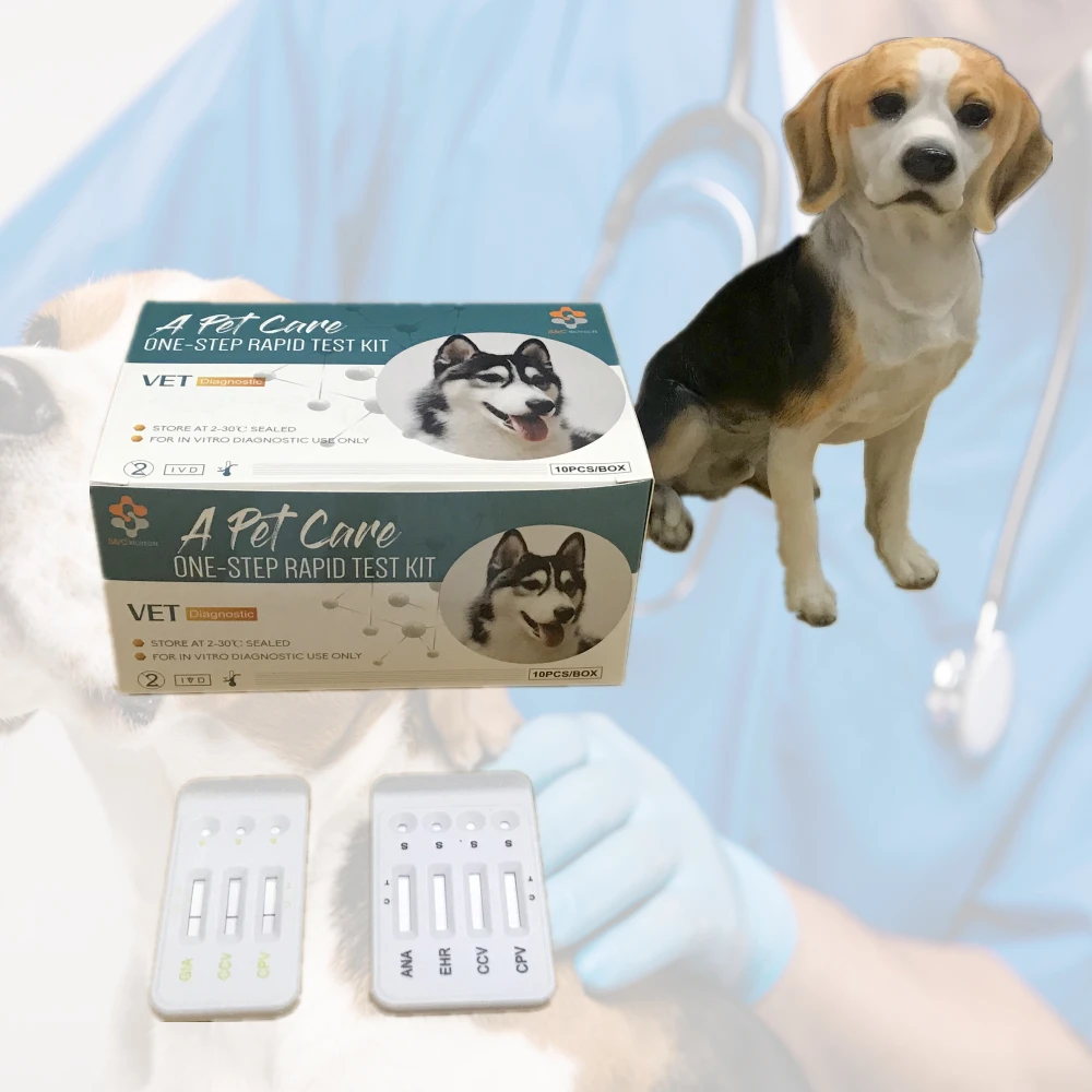 BCL Brucella Ab brucellosis pet 8 medical hospital supplies DOG/CAT disease test