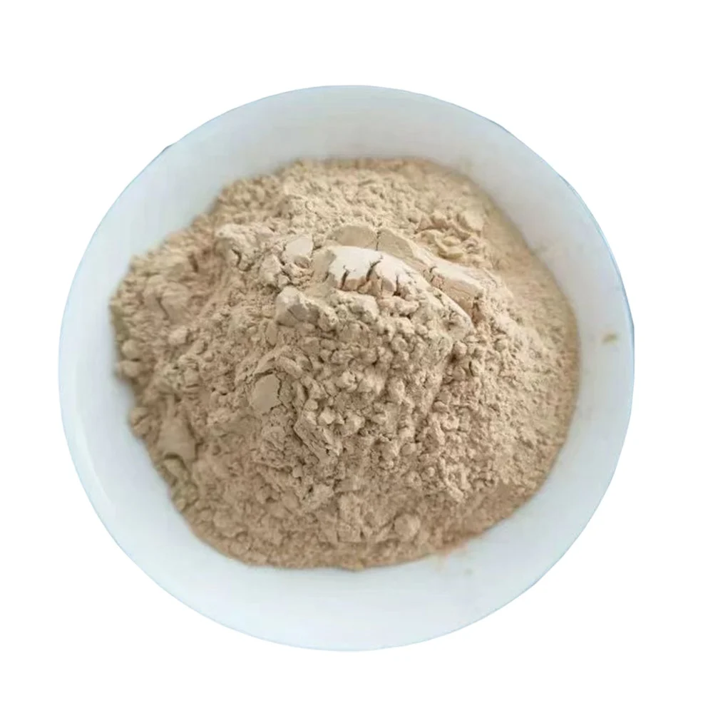 White Diatomite Powder Coating Diatomaceous Earth For Coatings Diatom Mud Art Wall Paint Grade Celite 545