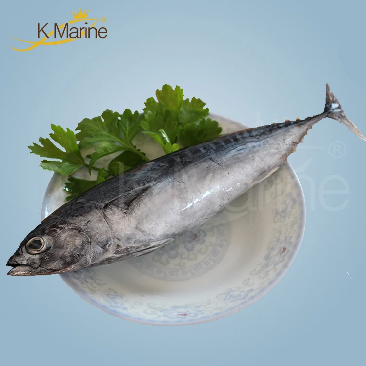 Высокое качество, Бонито, индонезийский консервированный тунец, цена