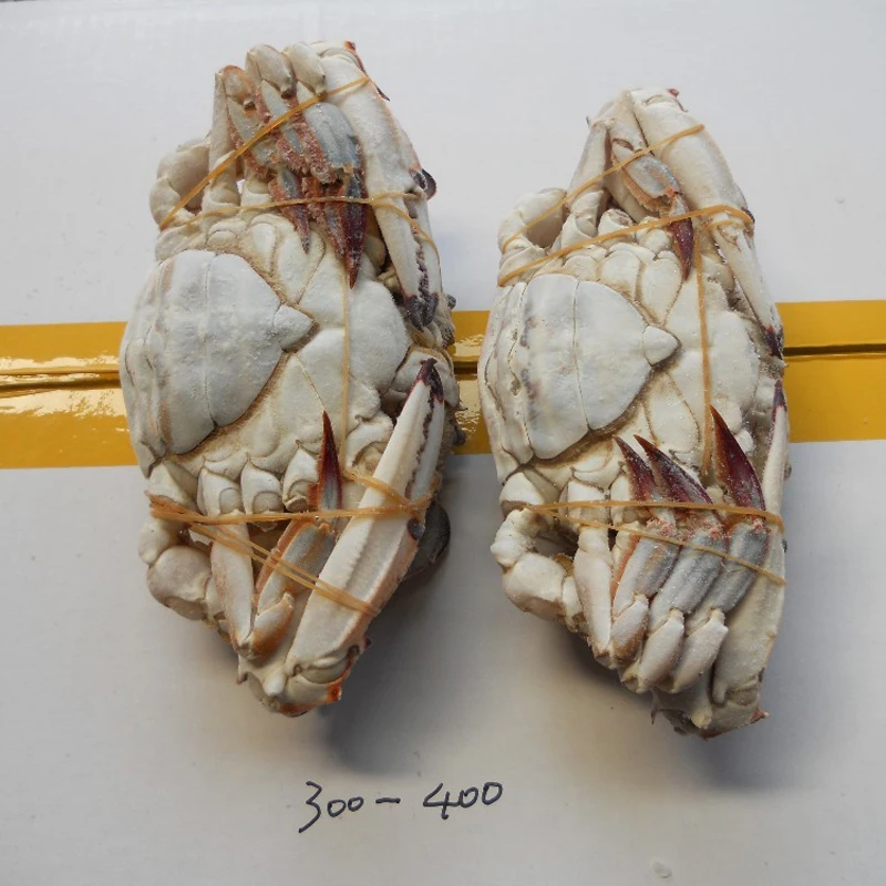 healthy big size many other species exports crab fat Frozen Crab raw material block in stock