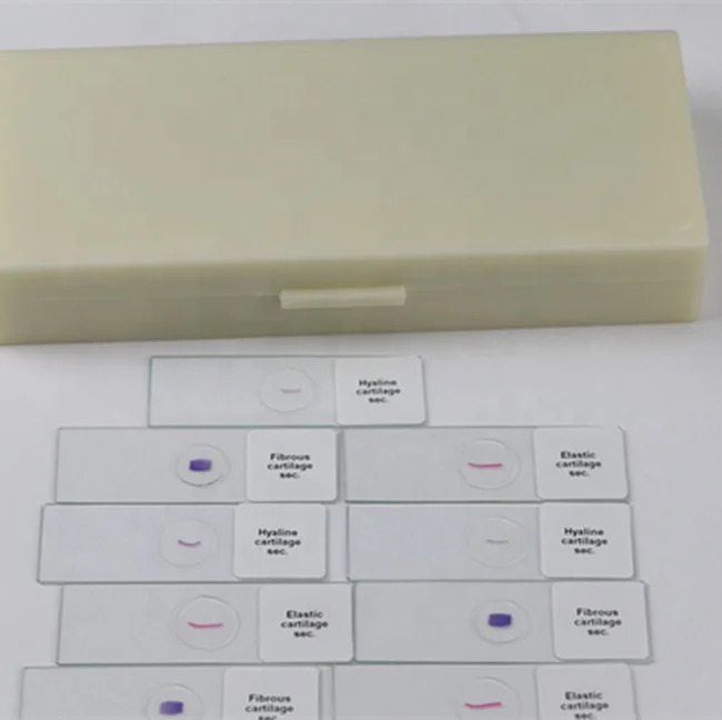 medical science Factory educational middle school students microscopes kits of prepared microscope slides on sale