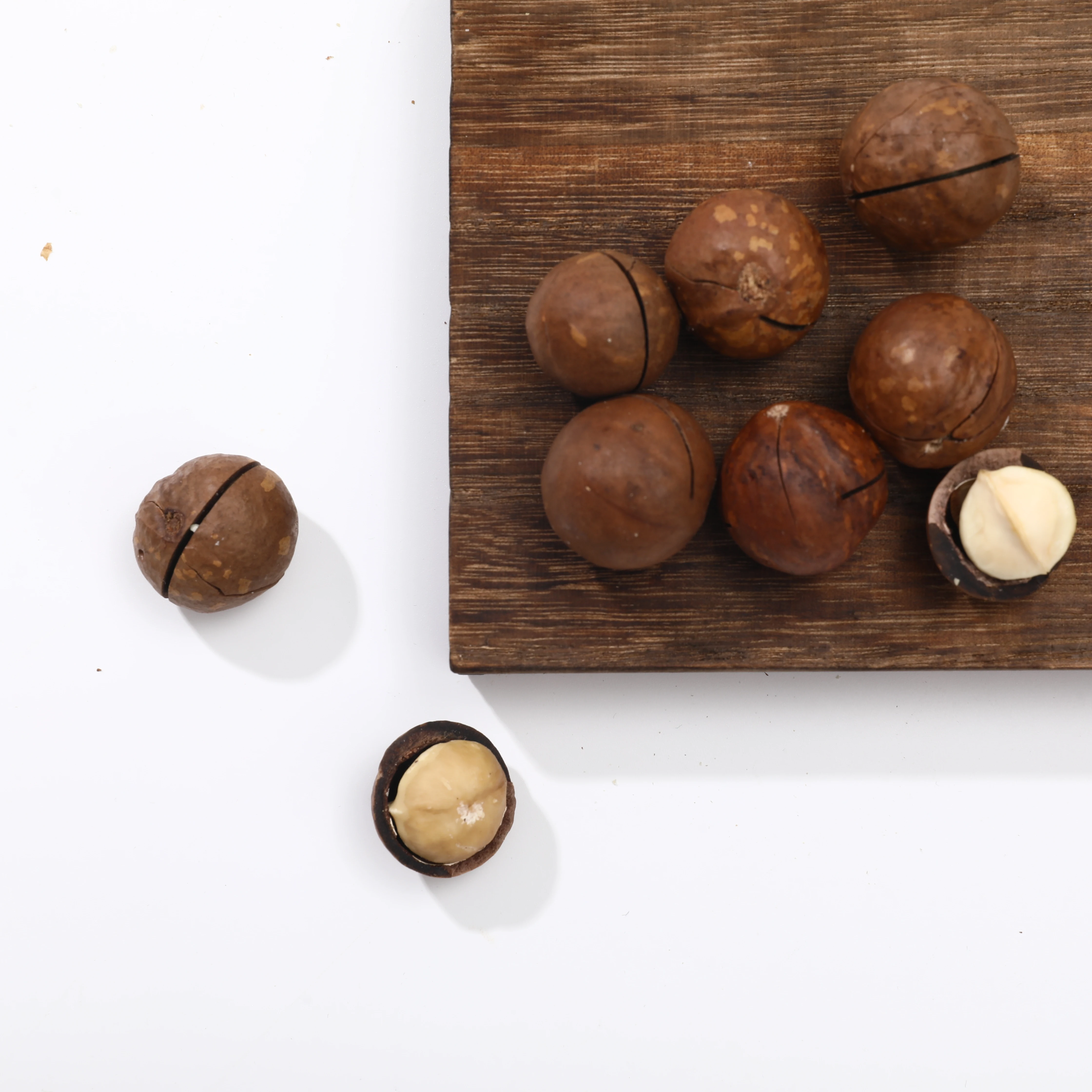 China Origin Milky Flavor   Roasted  Nuts Macadamia Nuts With Shell