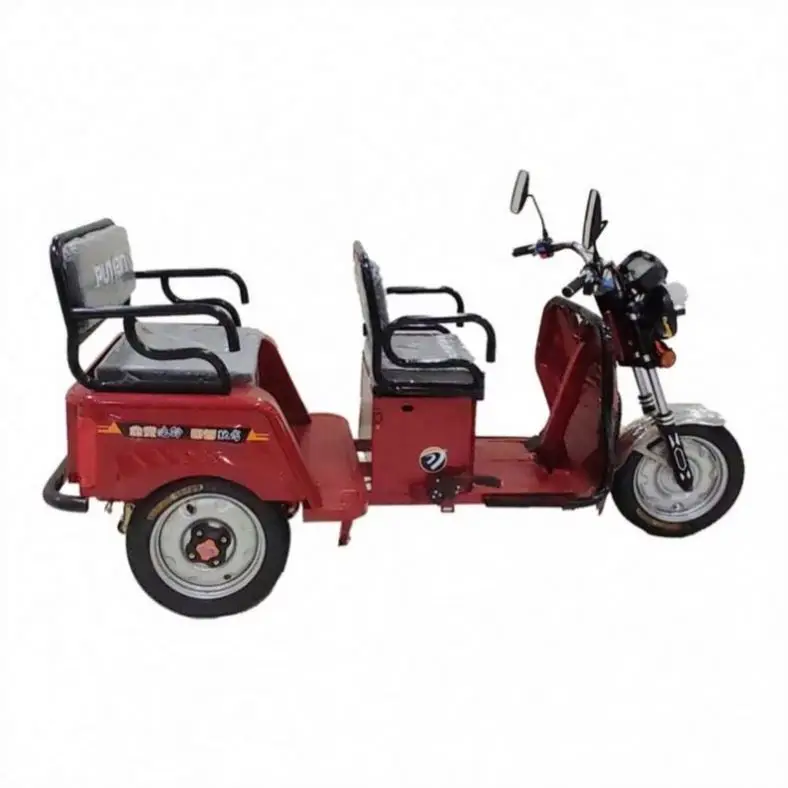 Best Selling Green Electric Good Efficiency Durable E Cargo Tricycle Oil Brake Rear Axle for Mobility-Impaired People