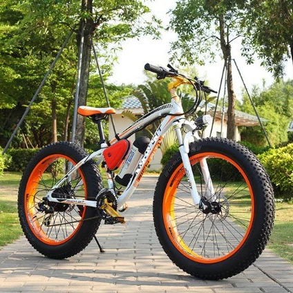 New Model 48V 1000W Electric Fat Tire
