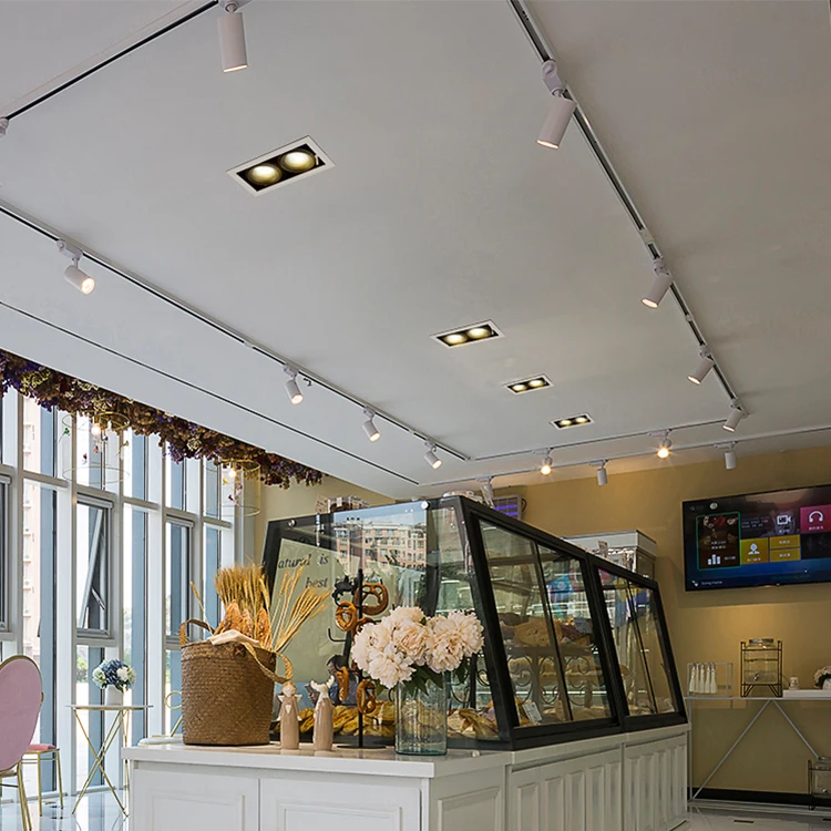 
Puluoti High Quality Aluminum Double Heads Adjustable 24w 36w Indoor Embedded LED Spotlight 