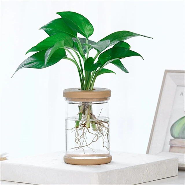 J823 Home Office Automatic Water Absorption Transparent Green Plant Flowerpots Plastic Visible Hydroponic Flower Pot