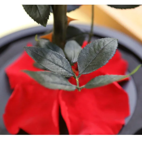 2023 PENGXUAN hot sale Wholesale rosa en cupula de vidrio preserved rose glass dome preserved rose in glass