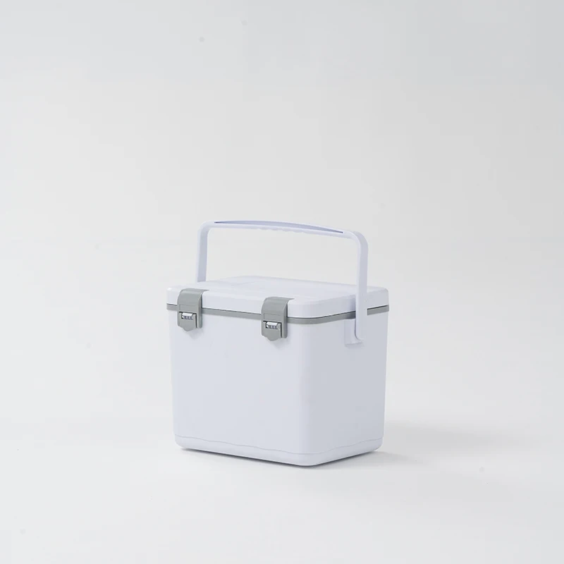 10 L Vaccine/Blood/Medicine Transport Vacuum Insulation Ice Cooler Box