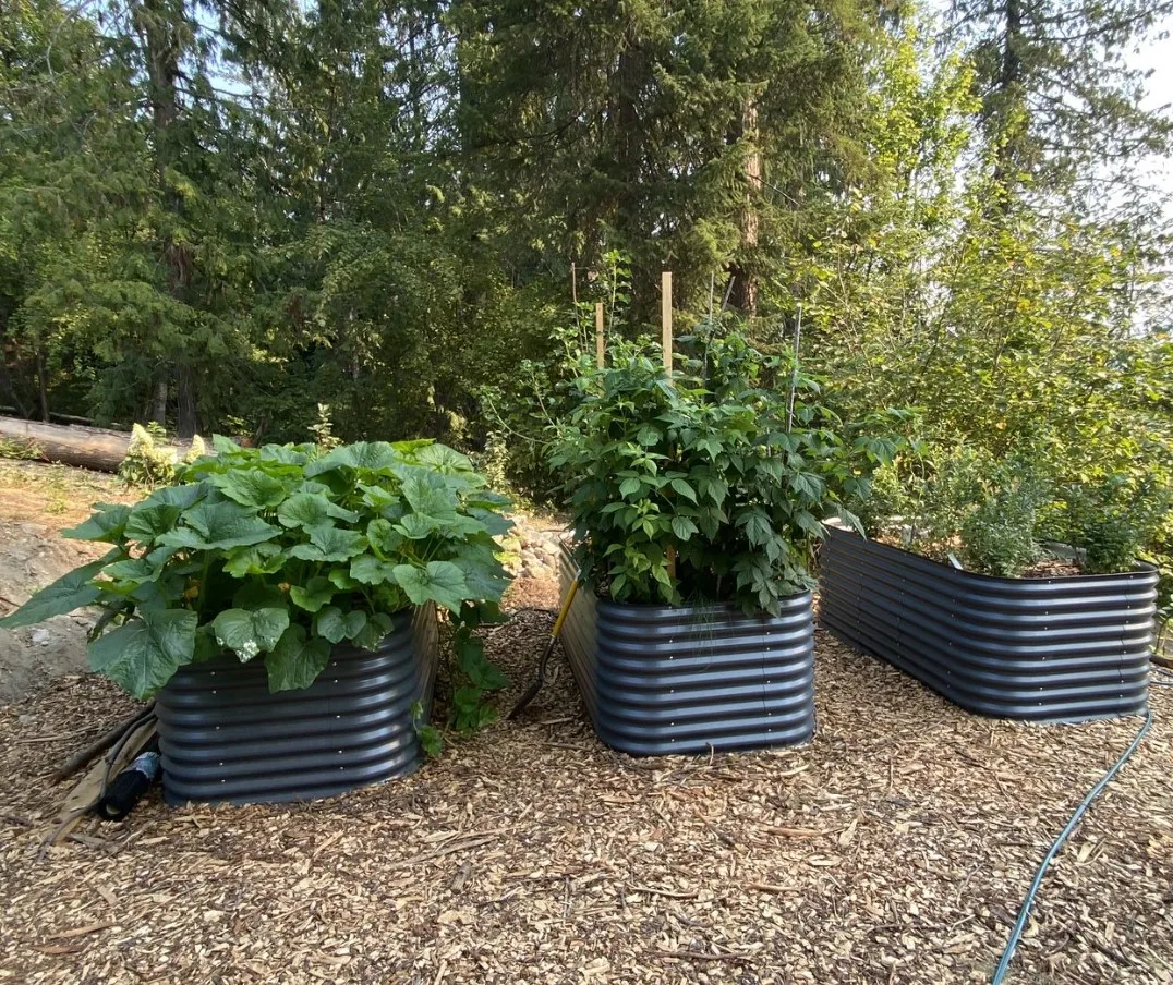 Wholesale Aluzinc Raised Garden Bed Kits Metal Large Planter Box Outdoor