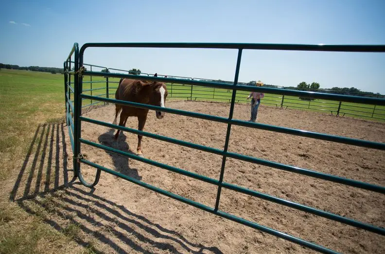 2024 Hot sale Cheap Field Yard Horse Goat sheep corral panels Farm Fence Panels Cattle Fence on Farm with high quality