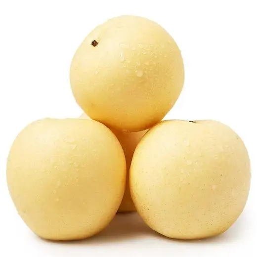 High quality of Chinese pear fruit crown pear new crop fresh pears price for Russia and Ecuador export from China