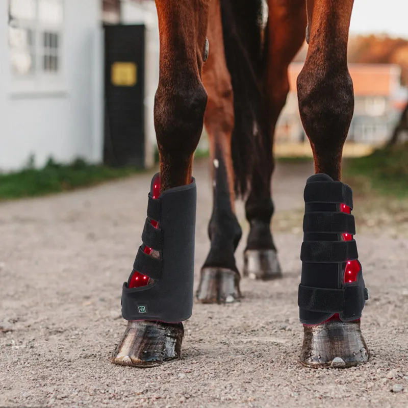 Built in battery equine hood wrap led light therapy boots infrared light therapy pads for horse hoof