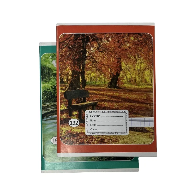 Professional Manufacturers for school exercise books  cheap price stationary french line exercise books for school