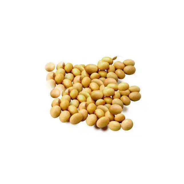 Bulk Supply Soy Lecithin Soybean Total Isoflavones ExtractBeta Sitosterol Phytisterol Powder